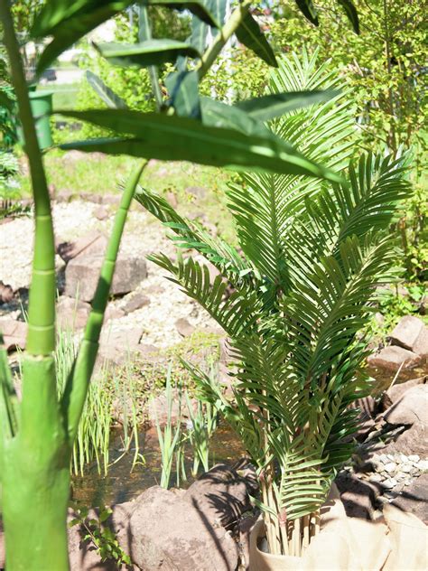 Palmier Kentia Plante Artificielle Cm Europalms