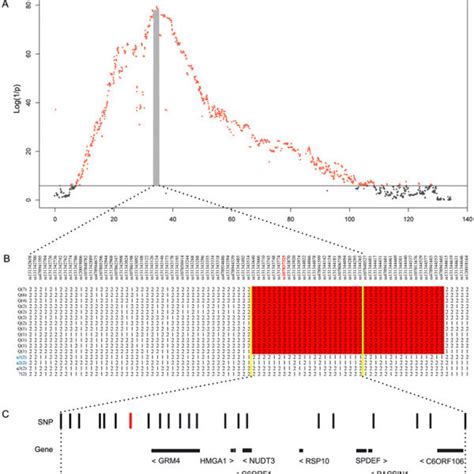 Qtl Of Genome Wide Significance Identified By Gwas For Growth And