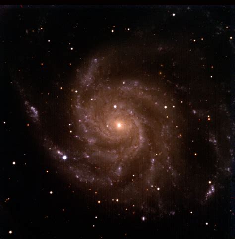 M101銀河に現れた超新星 Sn 2023ixf ぐんま天文台