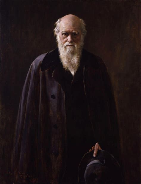 Charles Robert Darwin 1883 By John Collier Artchive
