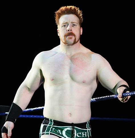 Celtic Warrior Sheamus In Action During The Wwe Smackdown Live Tour