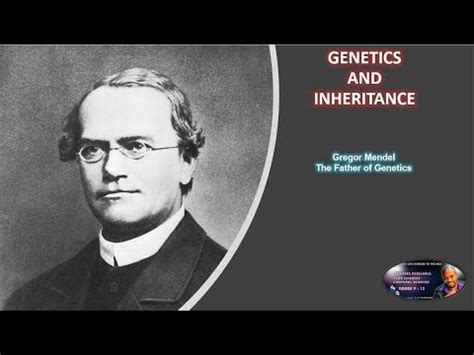 Genetics And Sex Determination YouTube