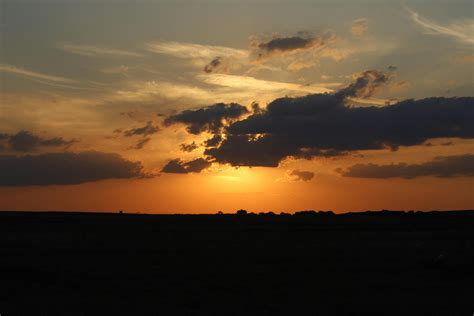 Silhouette of People Walking at the Beach during Sunset · Free Stock Photo