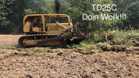 Td25c Clearing Trees For Hay And Pasture Youtube