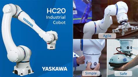 Versatile Collaborative Robot Boasts 20 Kg Payload Capacity 54 OFF