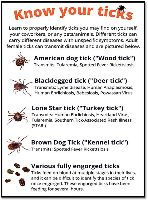 Tickborne Disease Overview Occupational Safety And Health