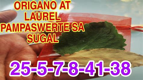 ORIGANO AT LAUREL PAMPASWERTE SA SUGAL APPLE PAGUIO7 YouTube