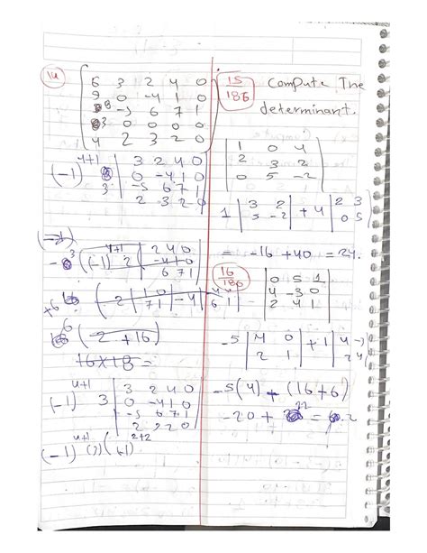 Solution Linear Algebra Determinants Chapter Studypool