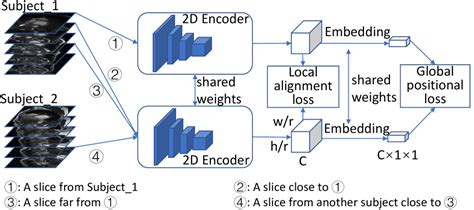 Self Supervised Learning For Medical Image Data With Anatomy Oriented