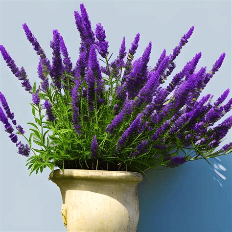 Flowers with Lavanda Photograph · Creative Fabrica