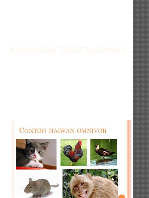 Pdf Haiwan Dan Tabiat Makannya Pptx Dokumen Tips