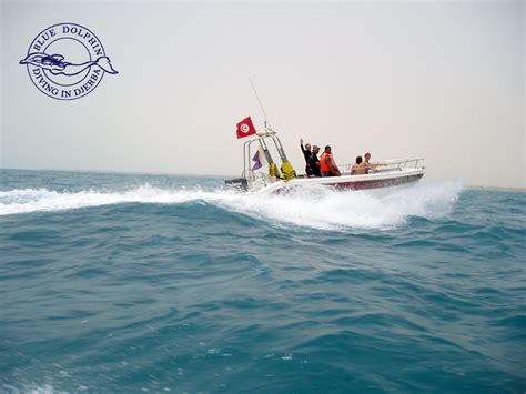 Blue Dolphin Centre De Plong E Djerba Plong E En Tunisie Plong E