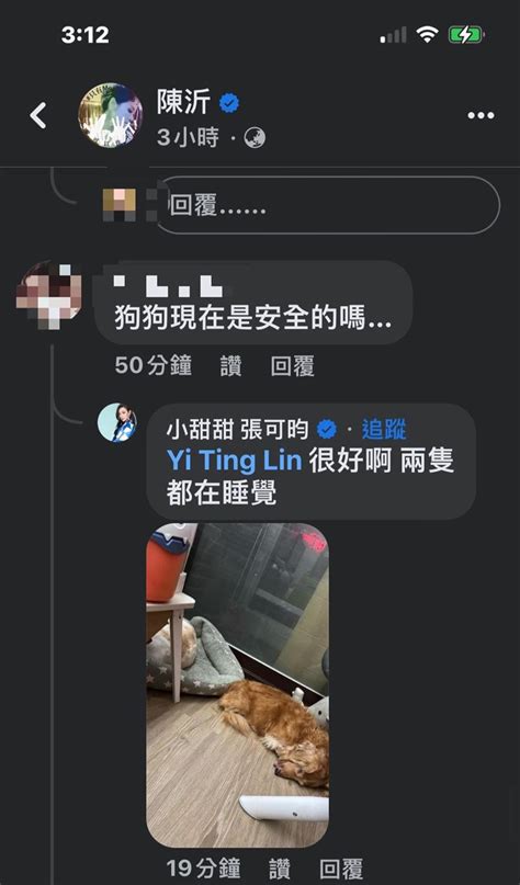 小甜甜深夜曬遺體照反擊謝忻陳沂！網友全嚇傻 狂刷快把狗狗救出來 娛樂星聞