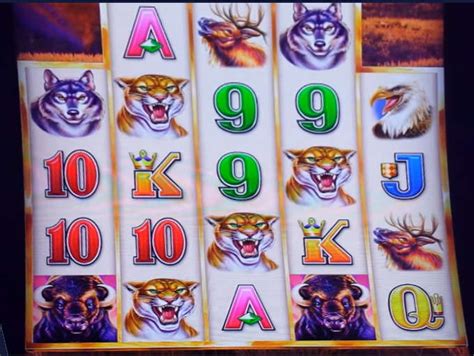 Buffalo Grand Slot review from Aristocrat