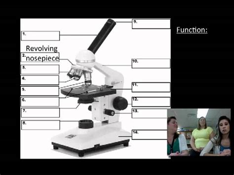 Different Parts Of Microscope And Functions