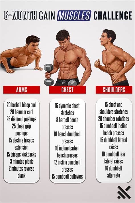 Get Prepared For Summer And Muscle Boost Yourself Gym Workout For