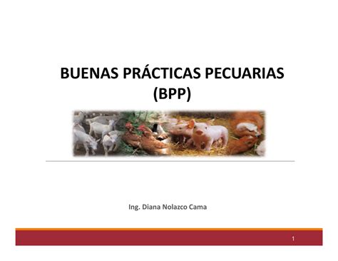 Buenas Practicas Pecuarias Bpp Buenas Pr Cticas Pecuarias