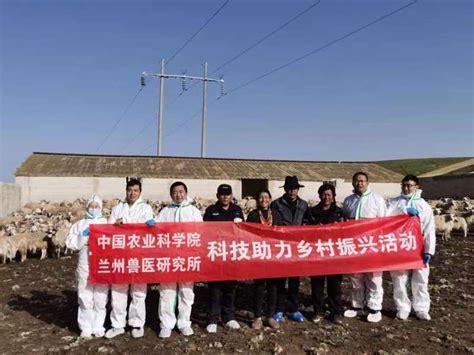 青海乡村振兴项目 青海乡村振兴试点村 青海省乡村振兴示范点 大山谷图库