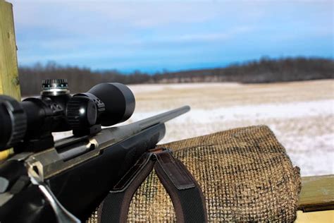 Top 10 Coyote Hunting Rifles (including price and specs) – Backfire