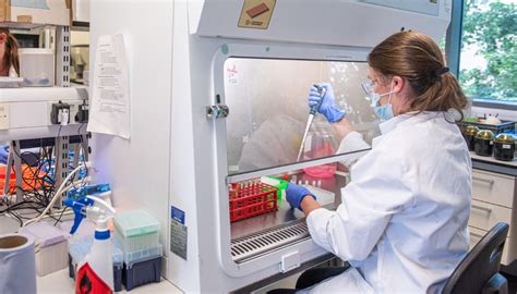 Vaccino Covid Quanto Protegge E Per Quanto Mantovani Chiarisce