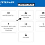 Detran Df Disponibiliza Servi O Online Para Impress O Do Crlv E