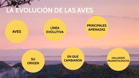 Evolucion De Las Aves By Javi Méndez On Prezi