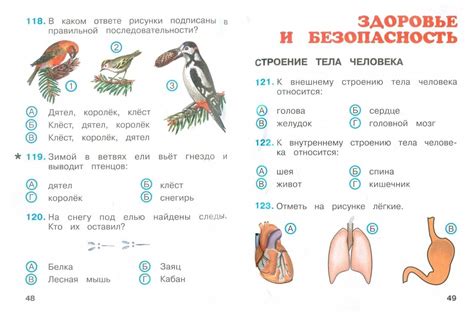 Тесты по окружающему миру 1 класс - каталог