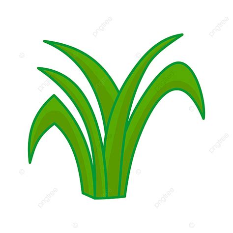 Grass Graphic Clipart Transparent Background Grass Leaves Vector