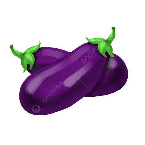 Elementos Dibujados A Mano De Dibujos Animados De Berenjena Png Porn