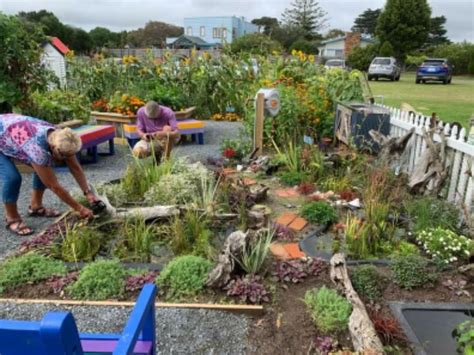 Bush Tucker Garden And Native Plants The Talk Around Town For A Small