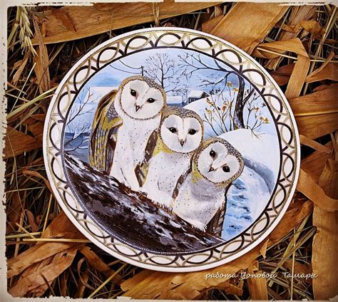 Совы сипухи. | Decorative plates, Decor, Home decor
