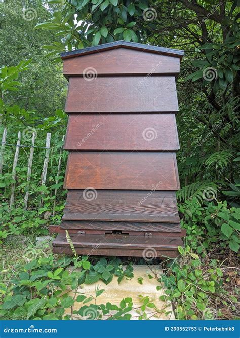 Traditional English Bee Hive in the Forest Stock Image - Image of tree