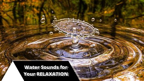 Running Water Soft Relaxation Sounds With Calming Birds Relaxation