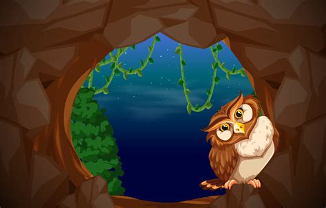 Owl In Cave Entrance 295891 Vector Art At Vecteezy