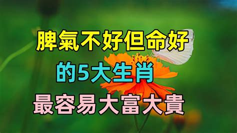 脾氣不好但命好的5大生肖，最容易大富大貴，有你嗎？ Youtube