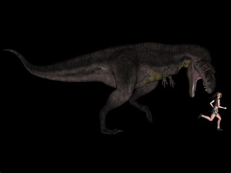 Tyrannotitan Pictures And Facts The Dinosaur Database