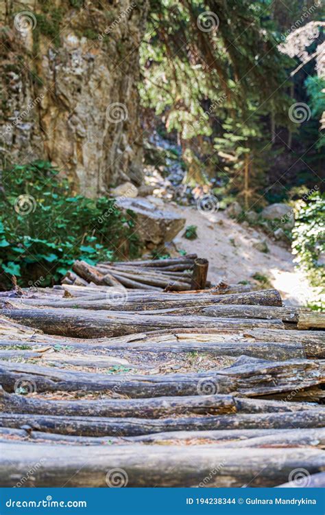 Log Bridge In The Mountains Across The Stream From The Waterfall Stock