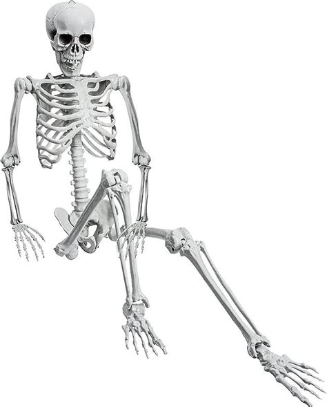 Sunreek 5 4ft 165cm Halloween Realistic Full Body Skeleton Life Size