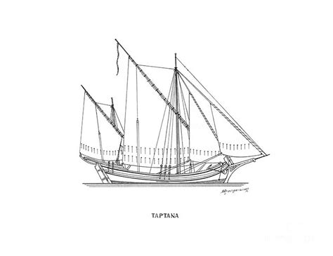 Tartana Traditional Greek Sailing Ship Drawing By Panagiotis