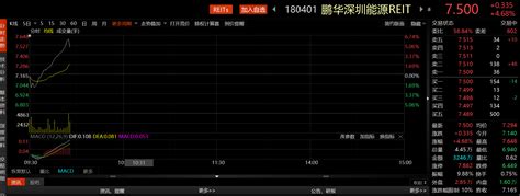 这只公募reits上市后延续上涨趋势，两日涨幅超过25深圳能源鹏华显示