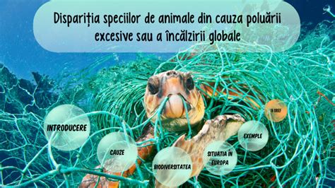 Dispariția speciilor de animale din cauza poluării excesive sau a