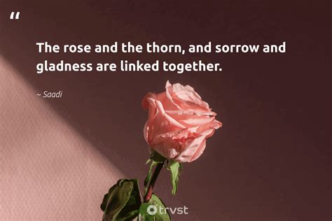 Quotes About Roses And Thorns - Hester Alejandrina