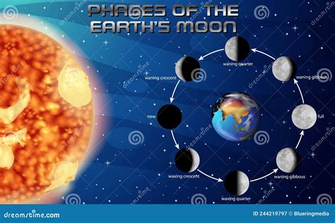 Phases De La Lune Pour L Enseignement Scientifique Illustration De