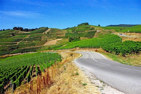 Discover the scenic Alsace Wine Route - French Moments