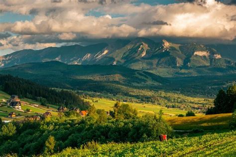 Paisaje de las montañas tatra exuberantes prados verdes y árboles en