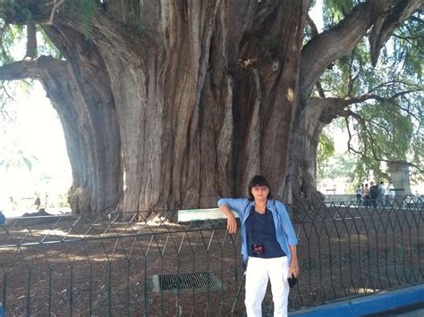 The biggest tree in Mexico | doppio_espresso | Flickr