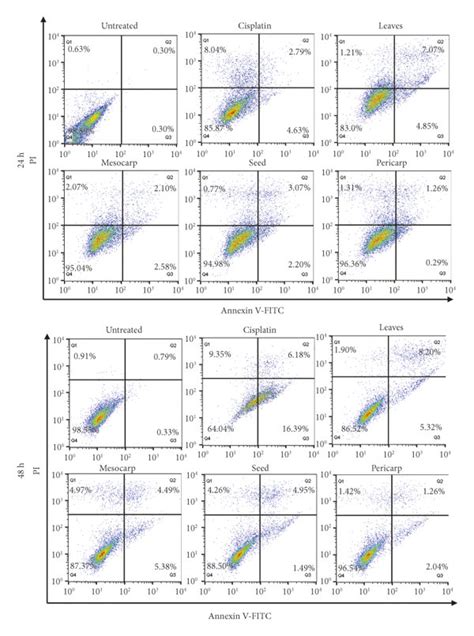 Ethanol Extract Of P Macrocarpa Leaves Triggered More Apoptosis Of