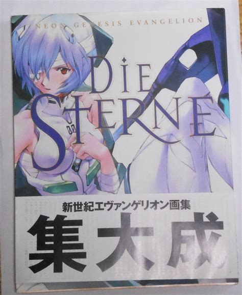 【やや傷や汚れあり】エヴァンゲリオン画集 Die Sterne 新世紀エヴァンゲリオン ニュータイプ100％コレクション 2冊セットの落札情報