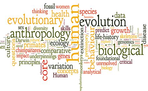 students perspectives  anthropology