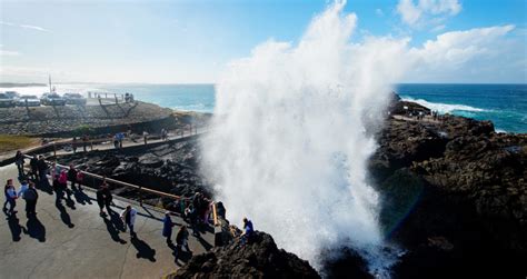 Kiama Blowhole - Destination Kiama